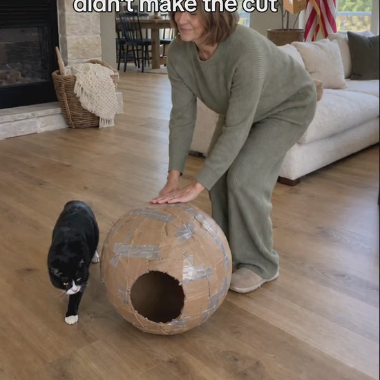 Cat stepping into the blue Pup Palace playpen ball on the lawn