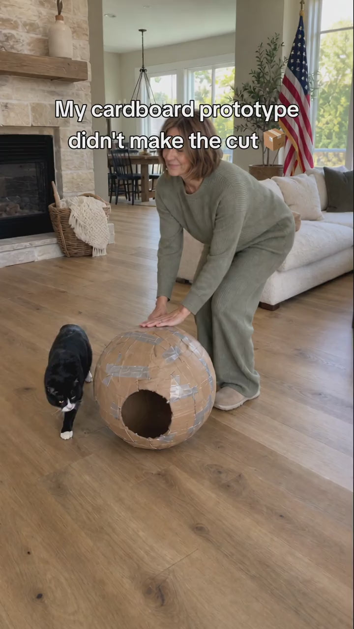 Cat stepping into the blue Pup Palace playpen ball on the lawn