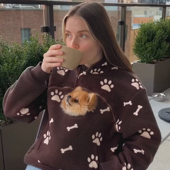 Dog riding in the hoodie pouch during a coffee run