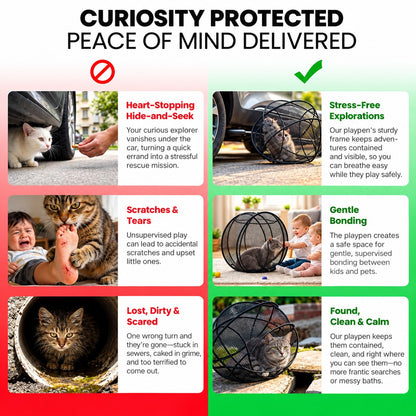 Why a safe playpen beats letting your cat roam free