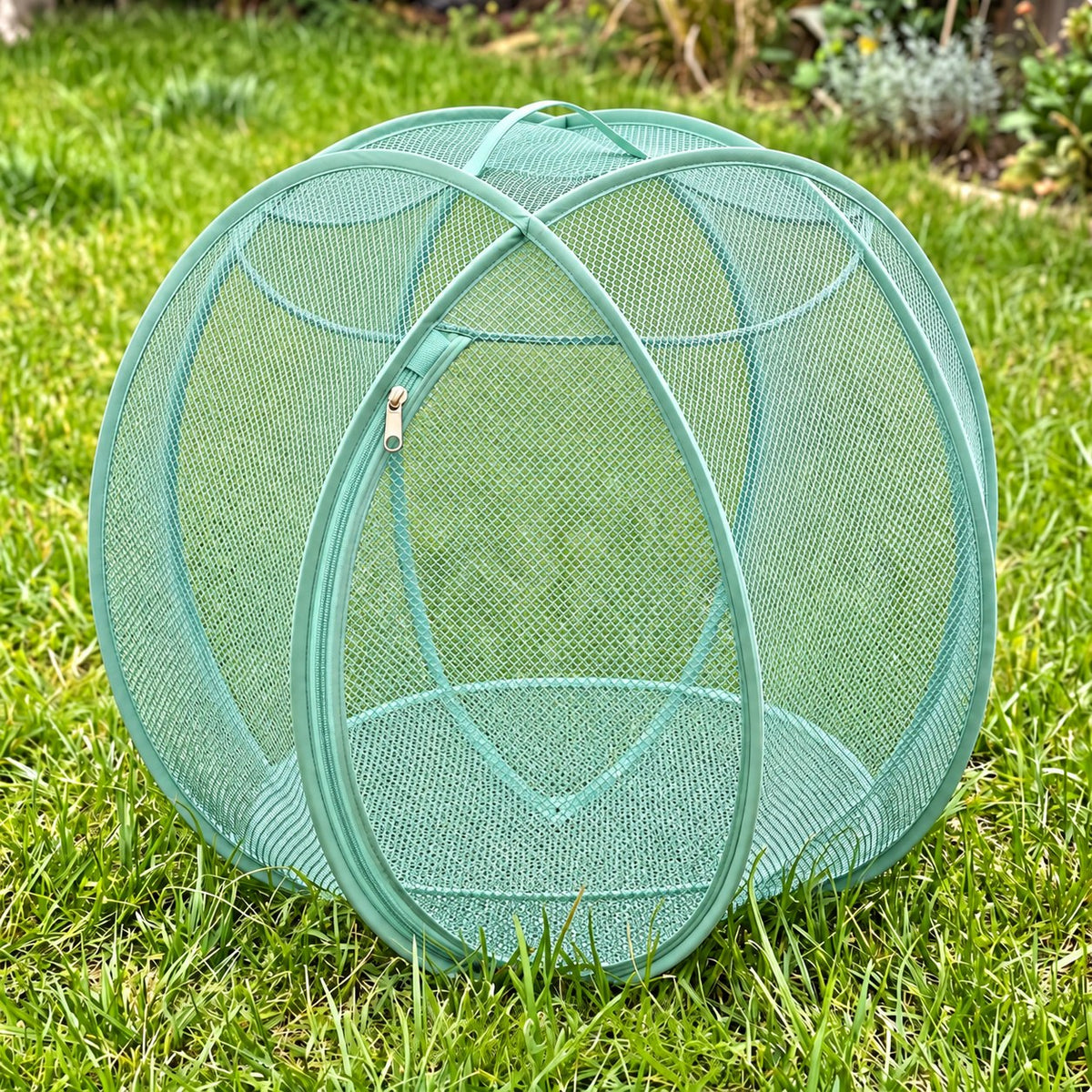 Pup Palace pop-up mesh pet playpen ball in Teal on the grass