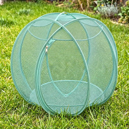 Pup Palace pop-up mesh pet playpen ball in Teal on the grass